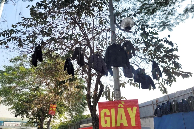 Chuyện lạ ở Hà Nội: Treo quần áo lên cây để bán hàng - Ảnh 2.
