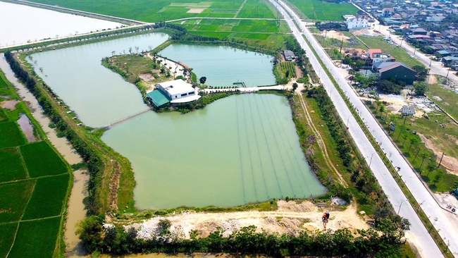 Xứ Nghệ chuyển mình với nông nghiệp xanh kết hợp du lịch sinh thái - Ảnh 1.