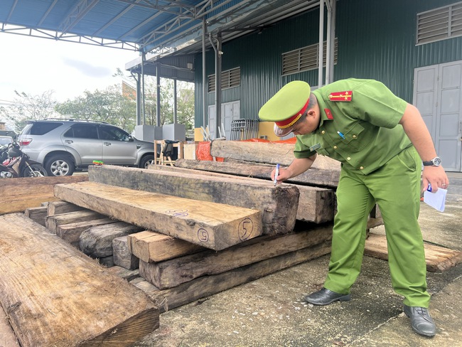 Cảnh sát kinh tế phát hiện lượng lớn gỗ lậu dưới hồ cá ở Thừa Thiên Huế  - Ảnh 2.