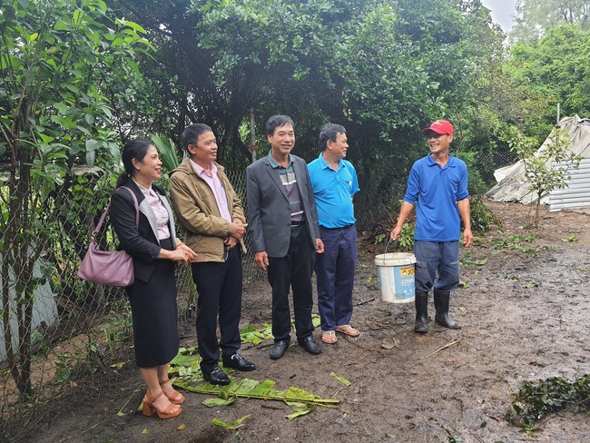 Ở một nơi ở Điện Bàn của Quảng Nam, nông dân đổi đời nhờ đầu tư nuôi con đặc sản - Ảnh 2.