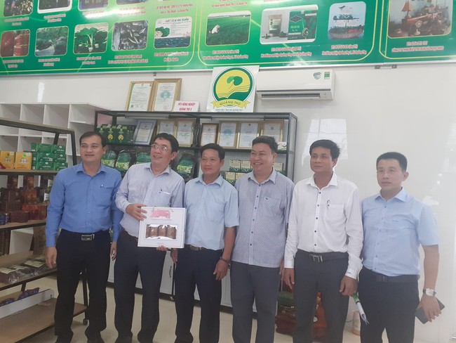 Xã thông minh ở Thừa Thiên Huế chuyển đổi số gắn với nông nghiệp xanh  - Ảnh 4.