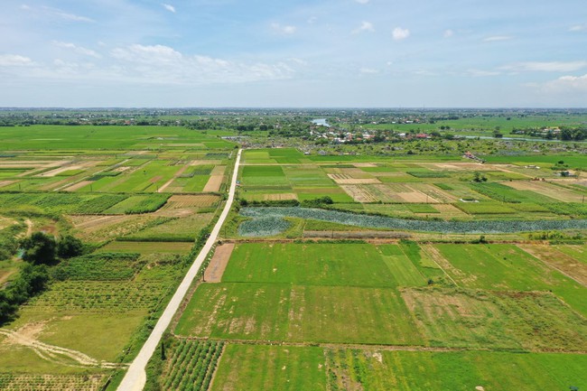 Xã thông minh ở Thừa Thiên Huế chuyển đổi số gắn với nông nghiệp xanh  - Ảnh 5.