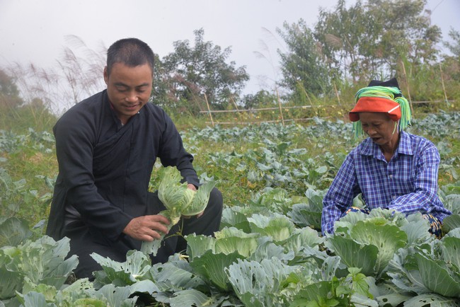 Chỉ làm chè, trồng rau, nuôi lợn mà một nông dân ở thành phố Hà Giang thoát được nghèo - Ảnh 1.