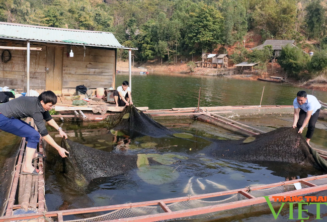 Phát triển bền vững ngành nuôi trồng thủy sản Sơn La - Ảnh 1.