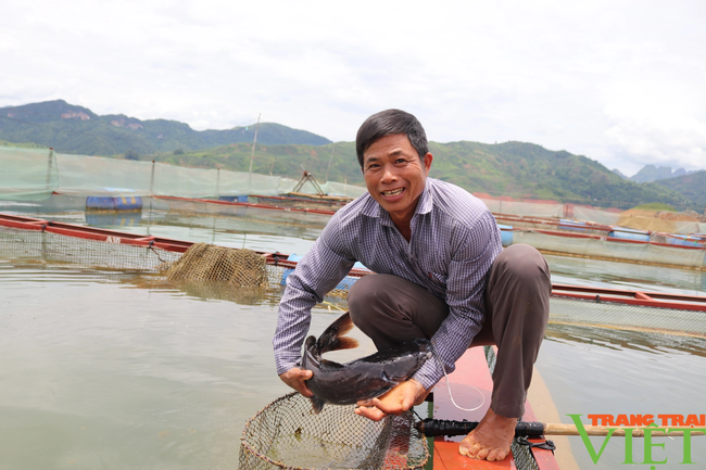Phát triển bền vững ngành nuôi trồng thủy sản Sơn La - Ảnh 2.