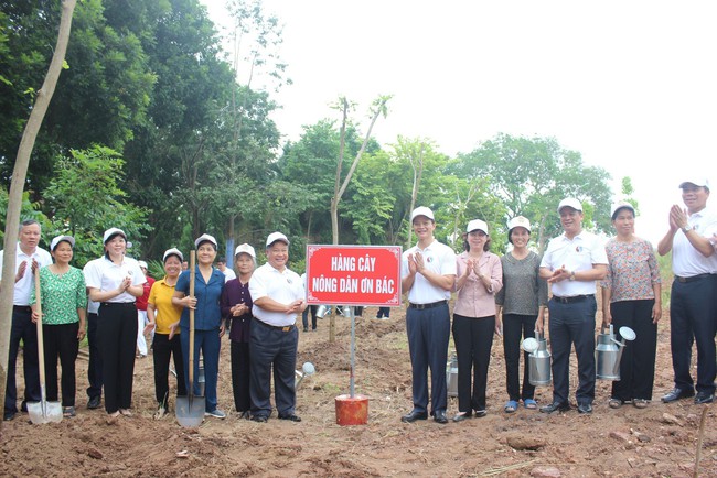 Chủ tịch Hội Nông dân tỉnh Bắc Ninh Nguyễn Thị Lệ Tuyết: 4 giải pháp phát triển các chi, tổ Hội Nông dân nghề nghiệp - Ảnh 5.