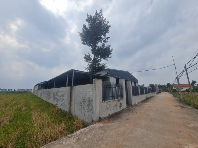 Nhà xưởng không phép giữa cánh đồng ở Thái Bình quá hạn nhiều tháng vẫn chưa tháo dỡ xong- Ảnh 1.