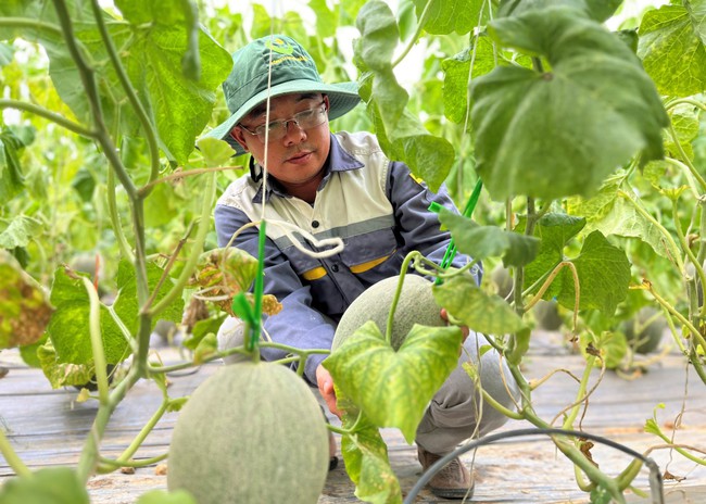 Qũy Hộ trợ nông dân, dòng nội nực giúp nông dân Nghệ An làm giàu, phát triển kinh tế tập thể - Ảnh 2.