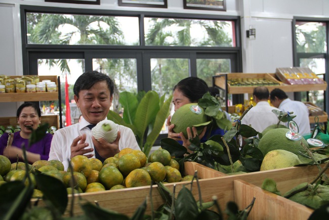 &quot;Thủ phủ&quot; cây ăn quả ở Bình Định chọn &quot;khu đất đẹp nhất nhì&quot; trưng bày sản phẩm nông nghiệp chủ lực - Ảnh 11.