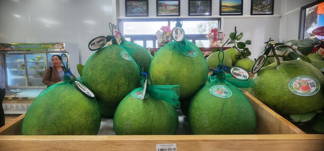 &quot;Thủ phủ&quot; cây ăn quả ở Bình Định chọn &quot;khu đất đẹp nhất nhì&quot; trưng bày sản phẩm nông nghiệp chủ lực - Ảnh 2.