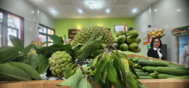 &quot;Thủ phủ&quot; cây ăn quả ở Bình Định chọn &quot;khu đất đẹp nhất nhì&quot; trưng bày sản phẩm nông nghiệp chủ lực - Ảnh 8.