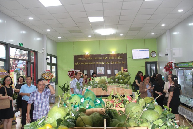&quot;Thủ phủ&quot; cây ăn quả ở Bình Định chọn &quot;khu đất đẹp nhất nhì&quot; trưng bày sản phẩm nông nghiệp chủ lực - Ảnh 7.