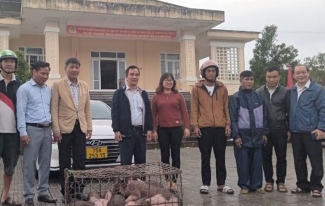 Hội Nông dân Thừa Thiên Huế hỗ trợ lợn giống cho hàng chục hội viên  - Ảnh 1.