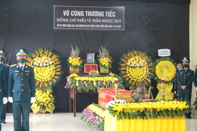 Chậu hoa cúc do chàng rể phi công Trần Ngọc Duy mua tặng nhà vợ ở Ninh Thuận vẫn xanh tươi   - Ảnh 5.