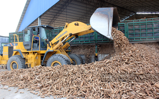 Trung Quốc là thị trường xuất khẩu lớn nhất của mặt hàng nông sản Việt Nam. Trong đó, của sắn và các sản phẩm từ sắn với tỷ trọng 91,5%. Ảnh: Nguyên Vỹ