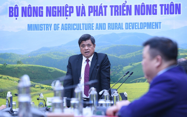 Thứ trưởng Bộ NNPTNT Trần Thanh Nam lưu ý doanh nghiệp xuất khẩu chọn cách tiếp cận cụ thể với các tỉnh thành ở Trung Quốc. Ảnh: PV
