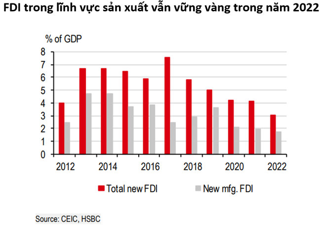 Đây là lý do để 'tin tưởng' FDI vào Việt Nam 2023 tăng trưởng 2 con số - Ảnh 1.