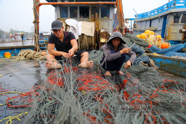 Ngư dân miền Trung chi tiền tỷ vươn khơi đầu năm - Ảnh 4.