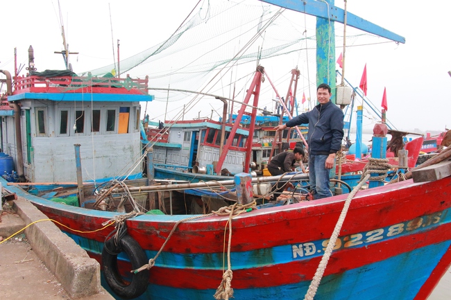 Ngư dân Nam Định hi vọng 1 năm cá nặng đầy khoang - Ảnh 1.