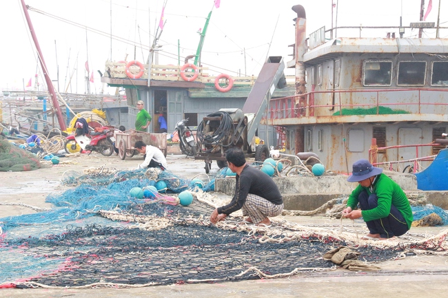 Ngư dân Nam Định hi vọng 1 năm cá nặng đầy khoang - Ảnh 4.