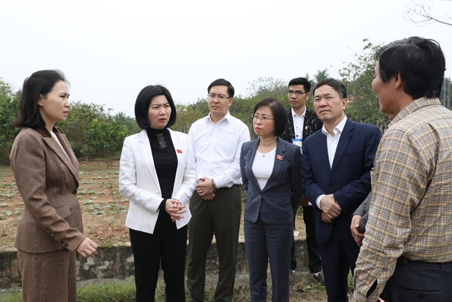Khảo sát tiến độ triển khai dự án đường Vành đai 4 tại huyện Thanh Oai và Quận Hà Đông - Ảnh 1.