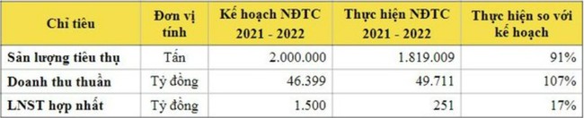 Ngay sau 2 quý lỗ liên tiếp, Hoa Sen (HSG) đặt mục tiêu lợi nhuận 2023 giảm tới 60% - Ảnh 2.