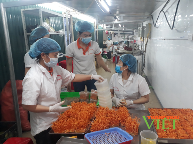 Thành phố Lai Châu làm gì để nâng cao giá trị trên một đơn vị diện tích? - Ảnh 1. Thành phố Lai Châu làm gì để nâng cao giá trị trên một đơn vị diện tích? - Ảnh 1.
