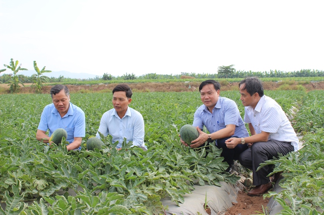 Nguồn vốn Quỹ Hỗ trợ nông dân tỉnh Bắc Ninh giải quyết việc làm, tăng thu nhập cho hơn 3.400 lao động - Ảnh 4.