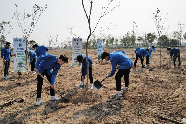 Dự án trồng cây hướng đến Net Zero Carbon chính thức khởi động tại Hà Nội - Ảnh 8.