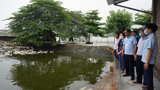 Vốn ưu đãi Ngân hàng CSXH đến tay, nông dân Hà Nội đầu tư trang trại VAC, trồng nho công nghệ cao - Ảnh 3.