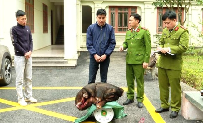 Ninh Bình: Bắt hai đối tượng vận chuyển con sơn dương nặng khoảng 42 kg - Ảnh 1.