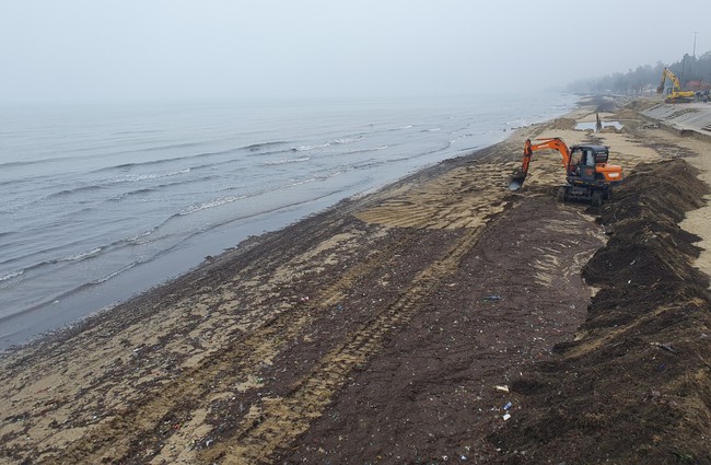 Nghệ An: Huy động máy xúc mỗi ngày dọn hơn 100 tấn mùn biển nhuộm đen biển Cửa Lò - Ảnh 2.