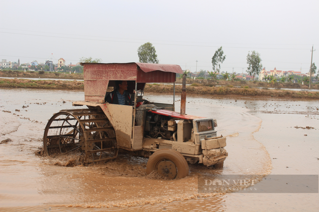 Nam Định: Đẩy mạnh cơ giới hóa vào sản xuất lúa xuân - Ảnh 1.