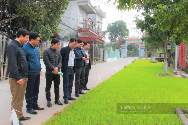 Nam Định: Đẩy mạnh cơ giới hóa vào sản xuất lúa xuân - Ảnh 2.