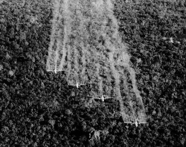 Kinh hoàng cảnh tượng Mỹ rải “thuốc diệt cỏ” ngập chiến trường Việt Nam - Ảnh 4.