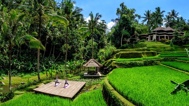 Indonesia: Du khách Australia phản ứng nhanh được ví như “biểu tượng Bali” - Ảnh 7.