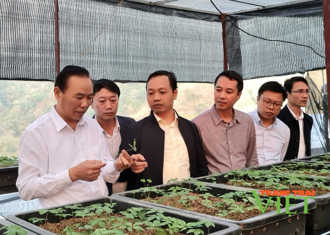 Thứ trưởng Bộ Nông nghiệp và Phát triển nông thôn làm việc tại Lai Châu - Ảnh 3.