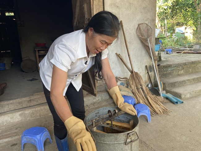 Phát triển nghề nuôi ong lấy mật, nông dân Lai Châu có thu nhập khá - Ảnh 3.