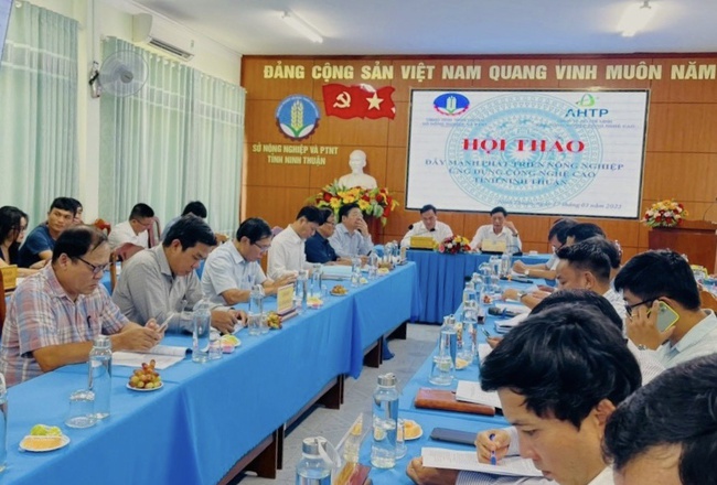 Nắng và gió là “đặc quyền”của tỉnh Ninh Thuận để đưa công nghệ cao vào sản xuất nông nghiệp, cho trái cây ngon  - Ảnh 1.