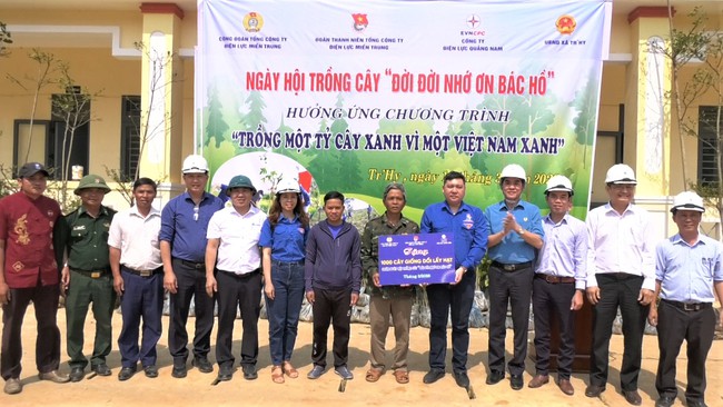 Tuổi trẻ Điện lực miền Trung và Quảng Nam hỗ trợ người dân xã Tr’Hy trồng cây kinh tế rừng - Ảnh 1.