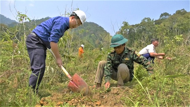 Tuổi trẻ Điện lực miền Trung và Quảng Nam hỗ trợ người dân xã Tr’Hy trồng cây kinh tế rừng - Ảnh 2.