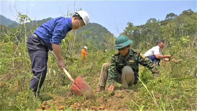 Tuổi trẻ Điện lực miền Trung và Quảng Nam hỗ trợ người dân xã Tr’Hy trồng cây kinh tế rừng - Ảnh 2.