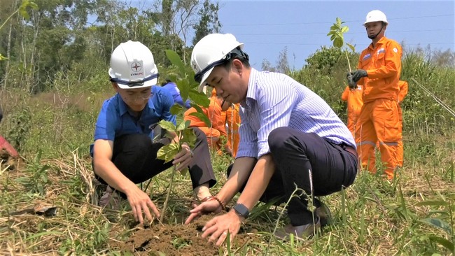 Tuổi trẻ Điện lực miền Trung và Quảng Nam hỗ trợ người dân xã Tr’Hy trồng cây kinh tế rừng - Ảnh 3.