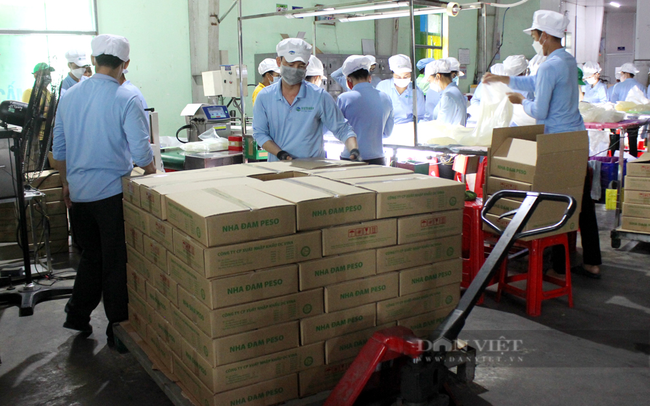 Mỗi năm, công ty Cánh Đồng Việt xuất từ 4-5 tấn sản phẩm nha đam, doanh thu trung bình khoảng 3 triệu USD. Ảnh: Nguyên Vỹ