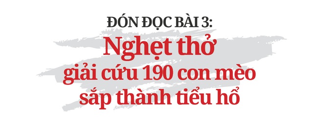 Bài 2: Những trùm buôn đứng sau hàng &quot;thú cưng&quot; bị ăn trộm từ Bắc chí Nam - Ảnh 11.