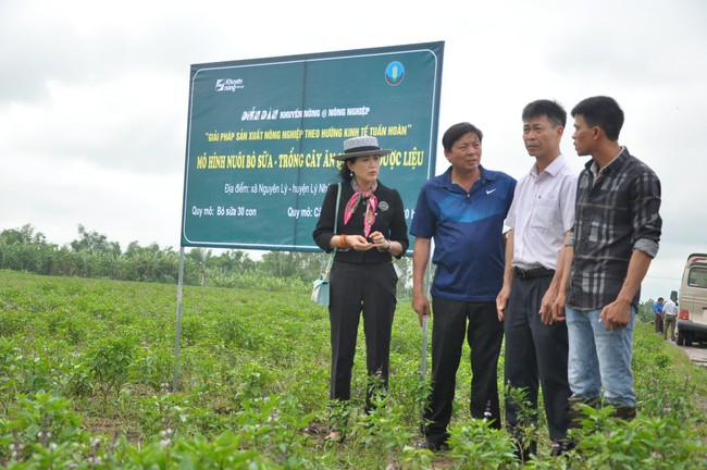 Hoàn thiện chính sách cho kinh tế tuần hoàn  - Ảnh 3.