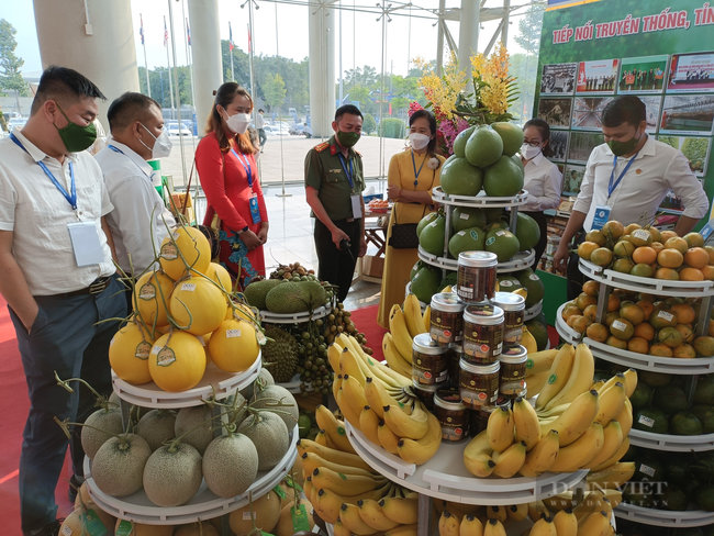 Phát triển vùng Đông Nam Bộ (bài cuối): Không để lợi ích kinh tế bị chi phối bởi địa giới hành chính - Ảnh 4.