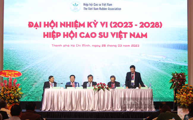 Đại hội nhiệm kỳ VI (2023-2028) Hiệp hội Cao su Việt Nam. Ảnh: Nguyên Vỹ