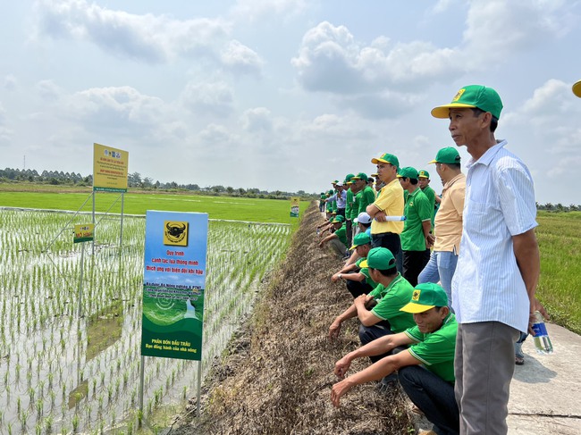Bình Điền tham gia đề án 1 triệu ha chuyên canh lúa chất lượng cao gắn với tăng trưởng xanh tại ĐBSCL - Ảnh 6.