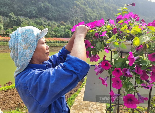 Du lịch Ninh Bình: Đón 3,2 triệu lượt khách trong tháng 3 - Ảnh 3.